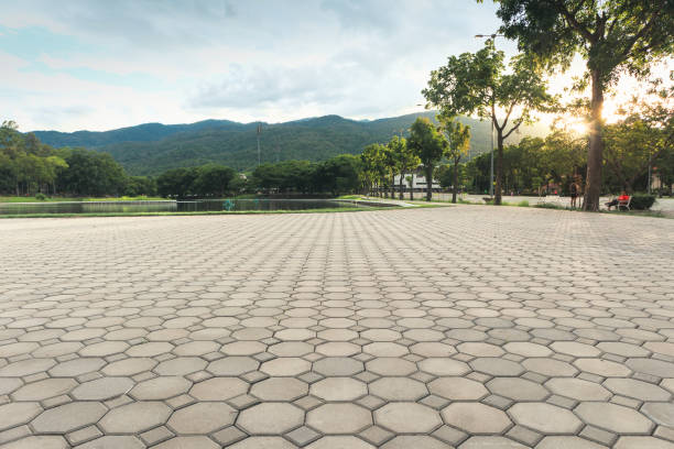 Best Local Driveway Pavers  in Woods Cross, UT